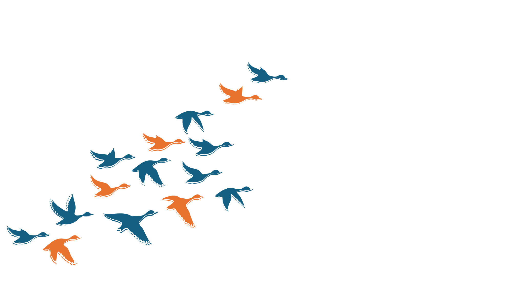 home-hero_birds_1