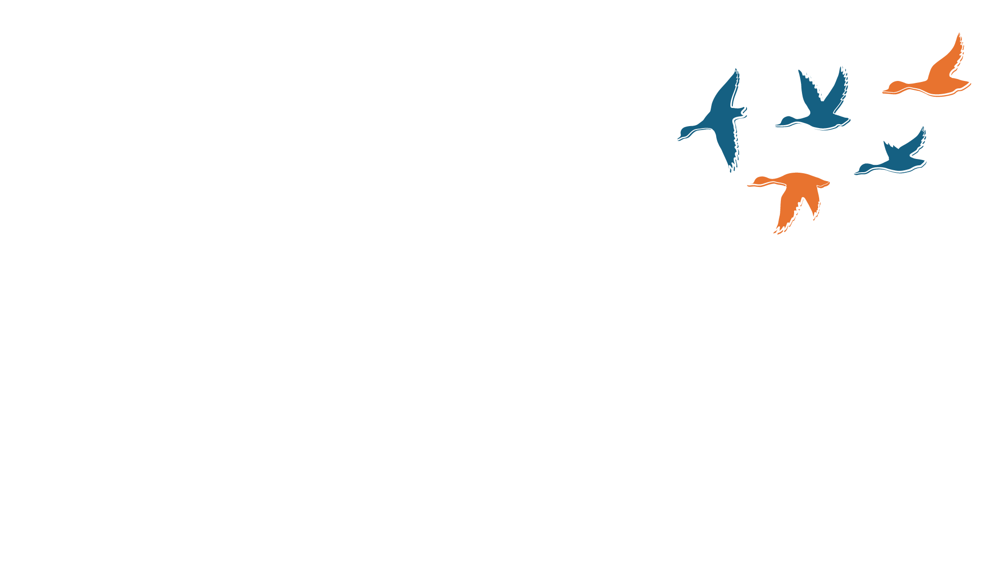 home-hero_birds_2